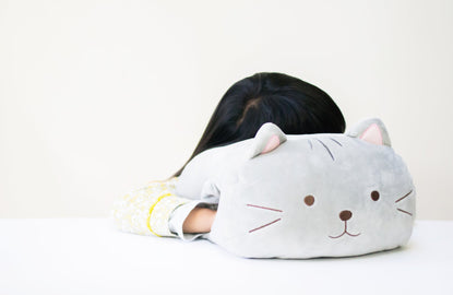 cat nap pillow