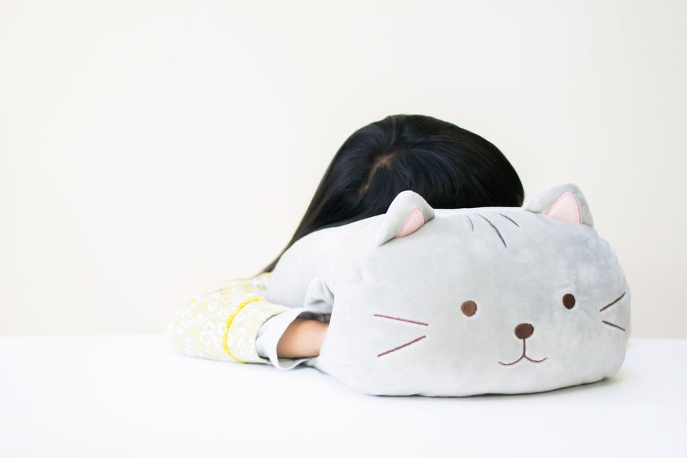 cat nap pillow