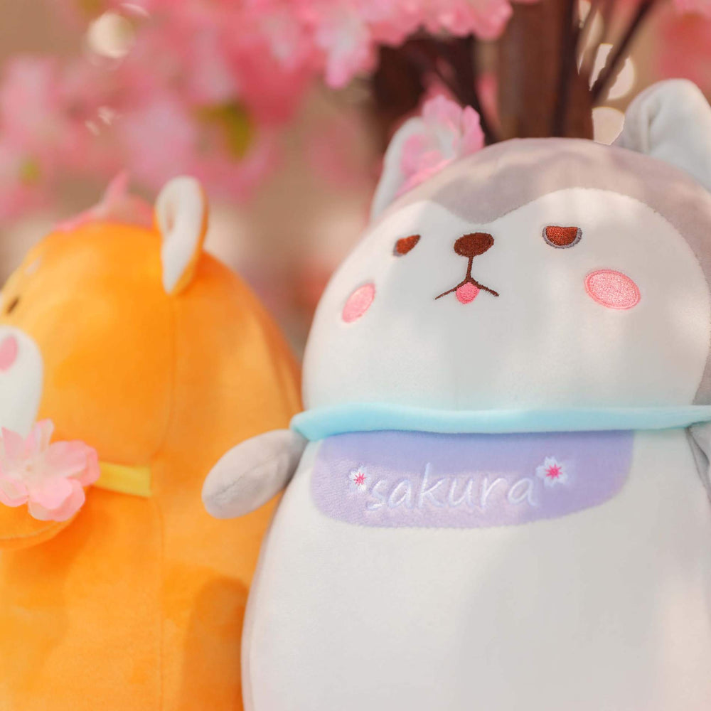 Shiba inu plushies with Sakura bib